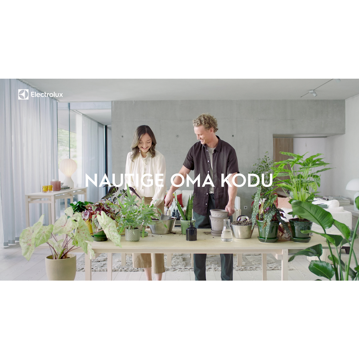 Electrolux - Juhtmeta varstolmuimejad - WQ61-42GG